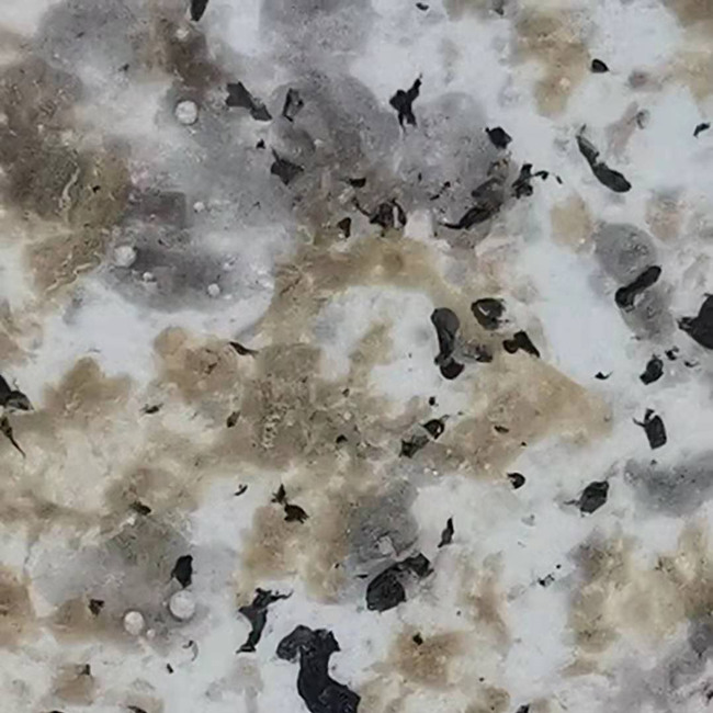 水包水多彩花岗岩涂料